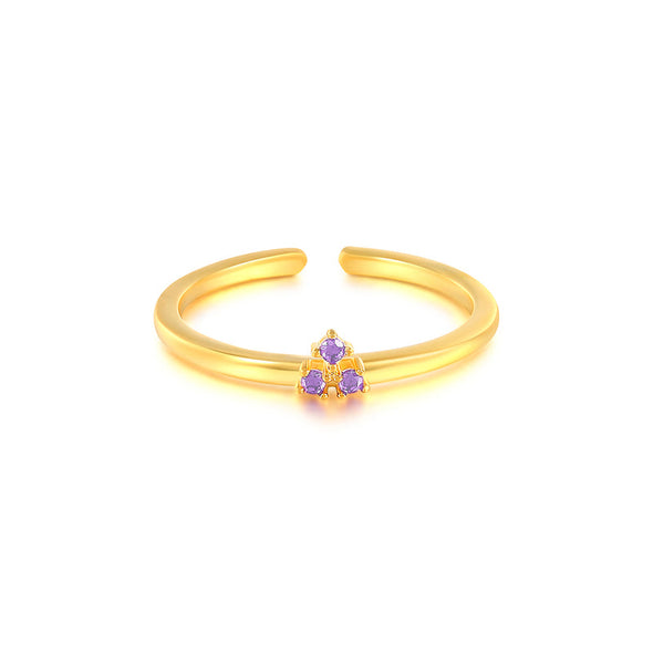 Claire Sterling Silver Ring plated in 18K Gold with Purple Stones